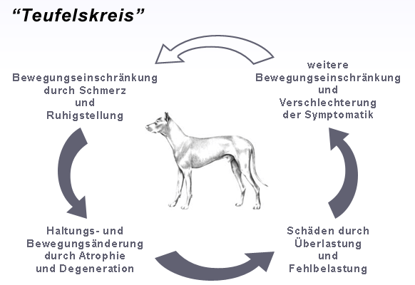 Physiotherapie - "Teufelskreis"